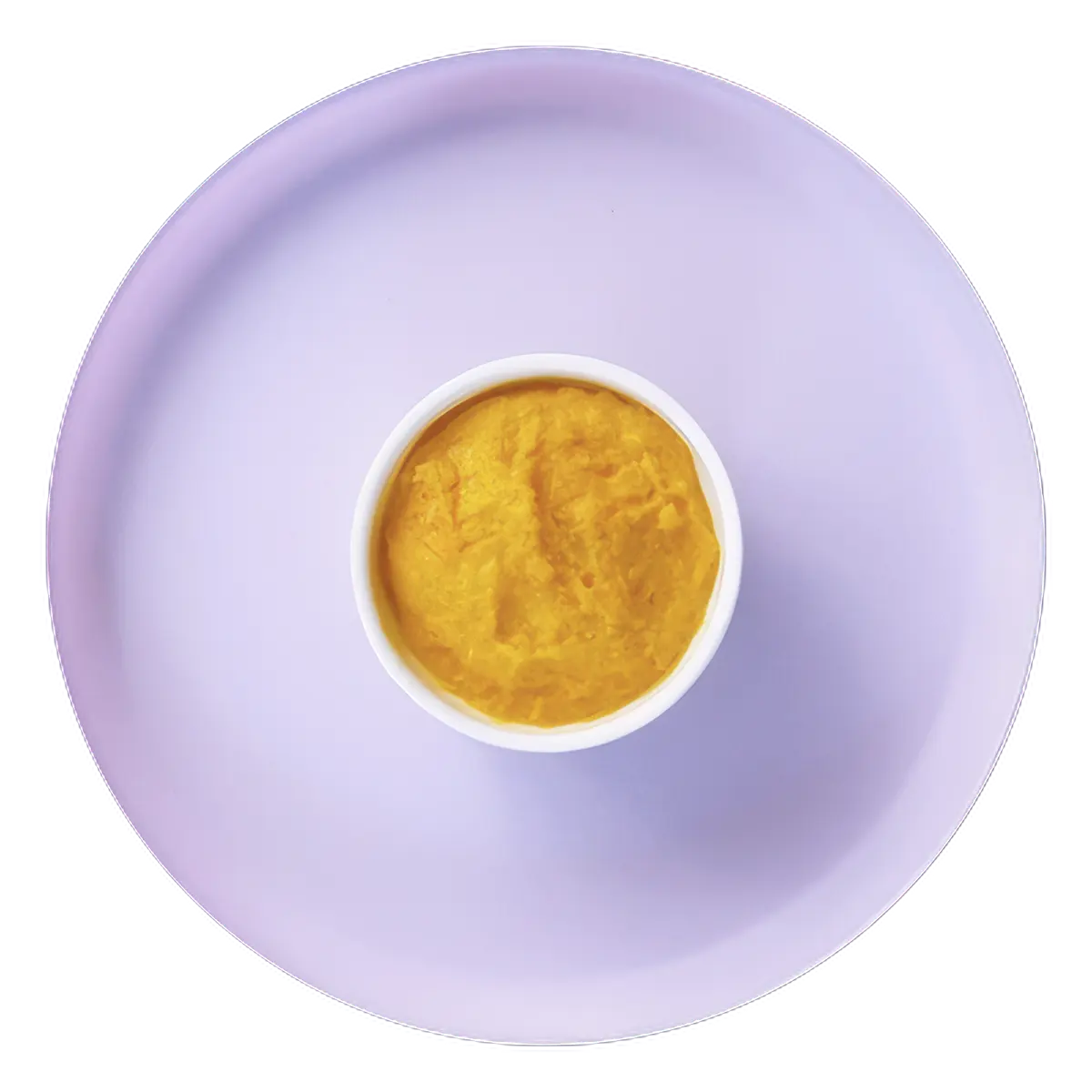 Butternut Squash and Cannellini Bean Purée