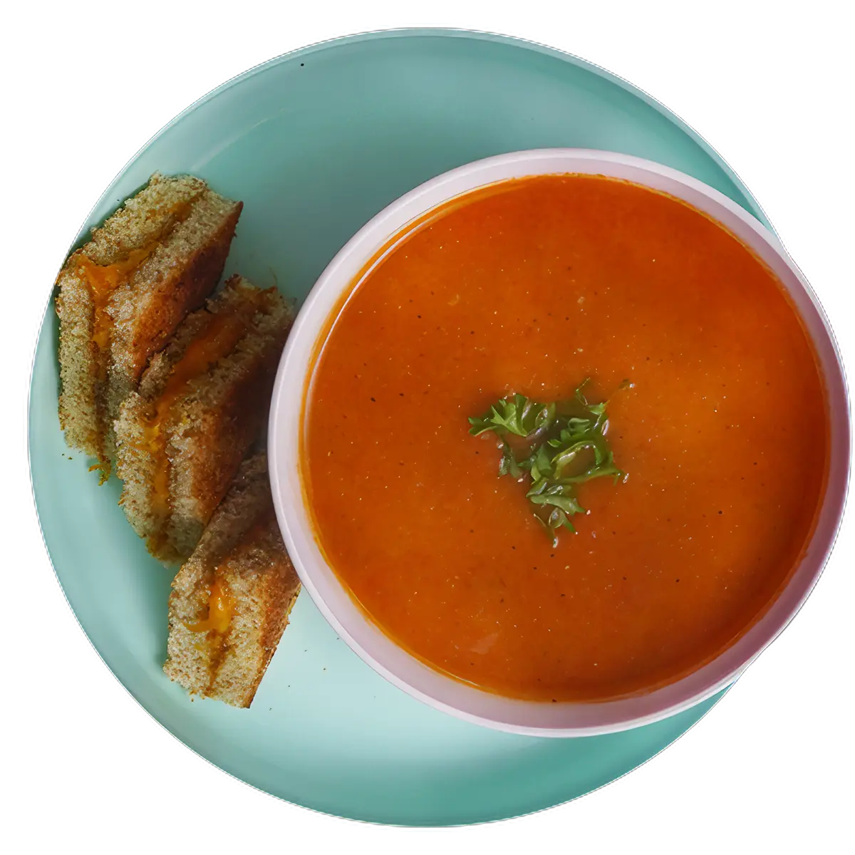 Cheddar Cheese Sandwich with Tomato Soup