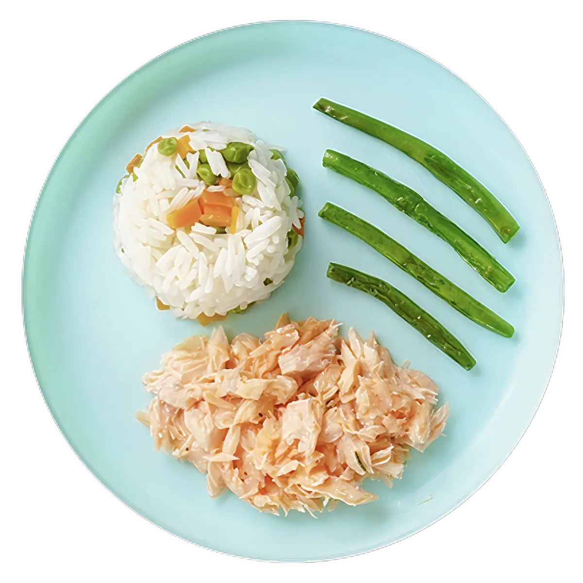 Salmón con arroz y vegetales