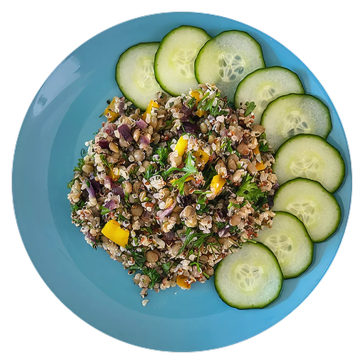 Vegan Quinoa Lentil Salad
